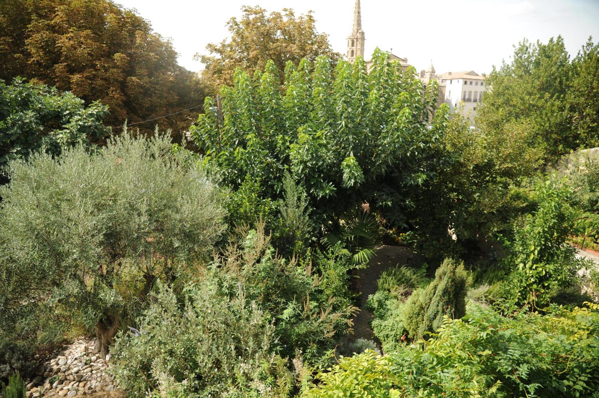 הוילה Limoux Riverside Gardens מראה חיצוני תמונה